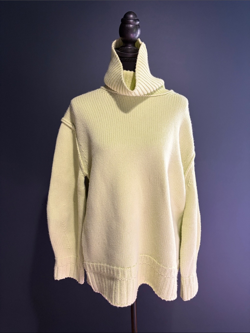 ✨ New With Tags SIMKHAI Oversized Wool Cashmere Turtleneck Sweater✨